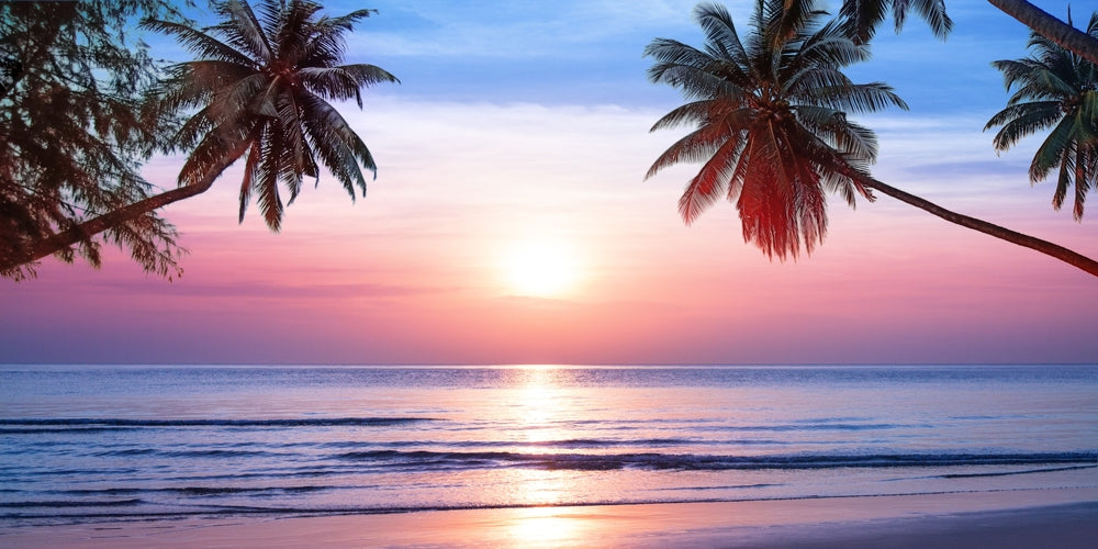 sunset over hawaii beach with palm trees
